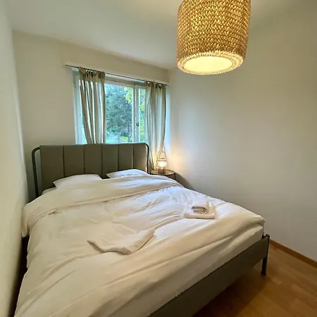 Simple With Natural Light Apartman Zürich